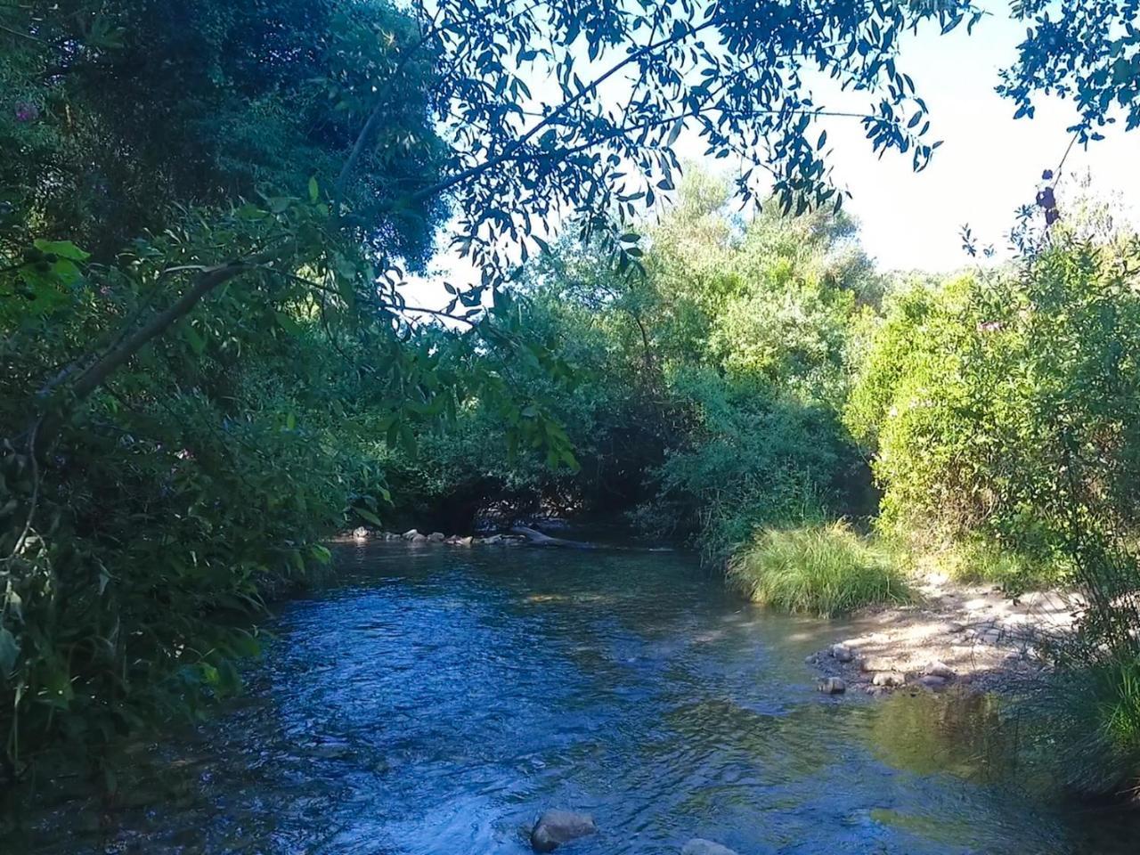 Apartamentos Casa Gil El Bosque Εξωτερικό φωτογραφία